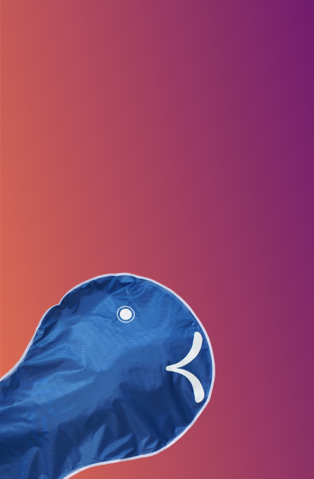 wikelfisch-rheinschwimmen-snacare-mobile